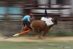 Pemkab Sumenep lestarikan karapan sapi Madura