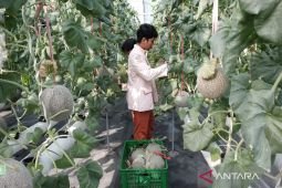 Sekolah Progresif Sidoarjo dukung kemampuan santri di bidang agrikultur