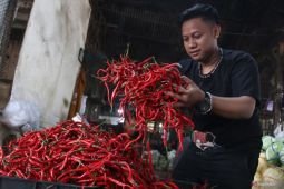 Harga pangan Senin ini, cabai rawit Rp58.306/kg dan bawang merah Rp42.122/kg