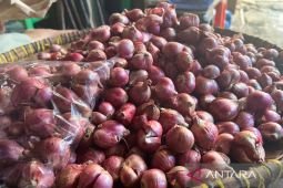 Harga pangan Rabu ini, cabai rawit Rp61.770/kg dan bawang merah Rp45.233/kg