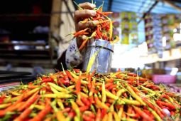 Harga pangan Kamis ini, cabai rawit Rp52.206/kg dan bawang merah Rp48.057/kg