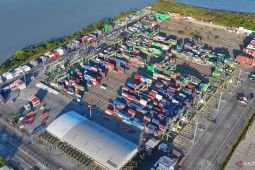 Teluk Lamong catat kenaikan arus petikemas internasional 9,1 persen