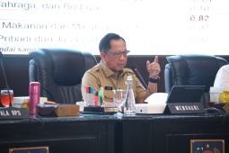 Mendagri Tito minta Pemda waspadai kenaikan harga pangan picu inflasi