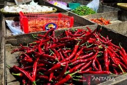 Harga cabai rawit Rp42.548/kg, bawang merah turun jadi Rp43.973/kg