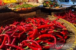 Harga pangan Kamis ini, cabai rawit Rp47.261/kg dan bawang merah Rp48.184/kg