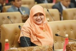 DPRD Jatim: Pengibaran bendera One Piece saat HUT RI bentuk ekspresi wajar