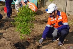 Terminal Petikemas Surabaya upayakan emisi nol melalui penghijauan