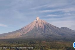 Semeru kembali erupsi dengan letusan setinggi 700 meter