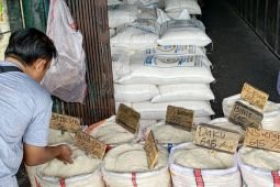 Harga pangan Selasa ini, beras medium Rp13.583/kg dan cabai rawit Rp45.705/kg