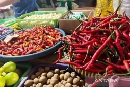 Harga pangan Rabu ini, beras medium Rp13.150/kg dan cabai rawit Rp61.667/kg