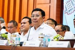 Bapanas sebut Indonesia penuhi beras hingga telur secara mandiri