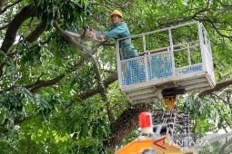 Topan Ragasa mendekat, 1 juta orang di China dievakuasi