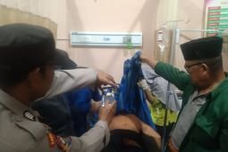 Harimau sumatera terkam petani di Lampung Barat