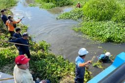 SIER berkolaborasi bersihkan eceng gondok sungai untuk cegah banjir