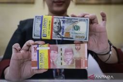 Rupiah melemah dipengaruhi rebound dolar AS dan sentimen domestik