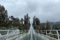 TNBTS sebut operasional Jembatan Kaca di Bromo tunggu proses perizinan