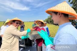 Bappenas: Kebijakan harga gabah Rp6.500/kg dukung kesejahteraan petani