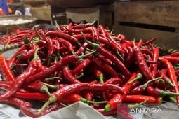 Harga pangan Sabtu ini, cabai rawit Rp45.002/kg dan bawang merah Rp37.308 /kg