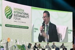 Smelter Freeport tak beroperasi imbas terhentinya produksi tambang