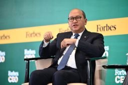 Danantara: Bank Himbara hati-hati serap dana pemerintah Rp200 T