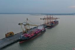TPS catat arus peti kemas internasional tumbuh 0,66 persen