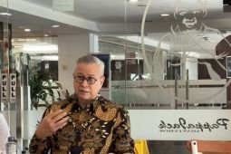 Soal WNA di direksi BUMN, Danantara: Profesional dan tidak politis