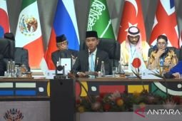 AI gains must be equal, including raw-material supplier nation: Gibran