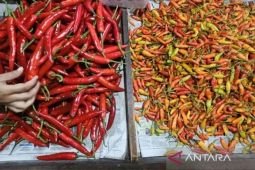 Harga cabai rawit Rp38.900/kg, telur ayam Rp31.450/kg