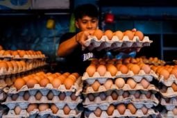 Harga pangan Selasa ini, cabai rawit Rp41.950/kg dan telur ayam Rp31.500/kg