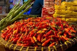 Harga pangan Sabtu ini, bawang merah Rp42.550/kg dan cabai rawit Rp49.800/kg