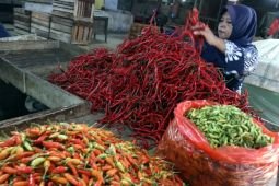 Harga pangan Sabtu ini, cabai rawit Rp41.650/kg dan telur ayam Rp31.400/kg