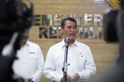 Tanpa impor, produksi beras meningkat 4,1 juta ton