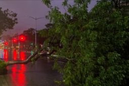 Topan Kalmaegi di Filipina: 80 tewas, 75 hilang