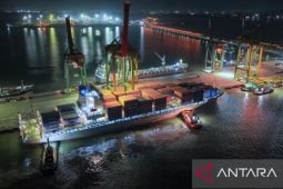 Terminal Teluk Lamong catat arus peti kemas naik 6,5 persen