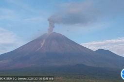 Semeru kembali erupsi dengan tinggi letusan capai 1,2 km
