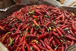 Harga cabai rawit merah tembus Rp72.750/kg, telur ayam Rp33.000/kg