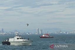 Dua bibit siklon picu gelombang laut tinggi di selatan Jatim dan Papua