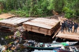 KLH Sita 300 meter kubik kayu olahan ilegal di Inderagiri Hulu Riau