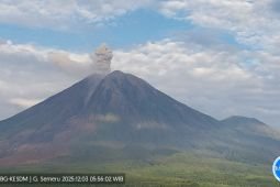 Semeru alami 16 kali erupsi dengan tinggi letusan capai 1.100 meter