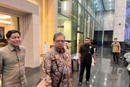 Airlangga: Regulasi soal restrukturisasi Danantara sedang disesuaikan
