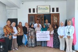 BRINS bayarkan klaim asuransi 188 UMKM terdampak erupsi Semeru