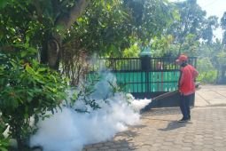 Dinkes Probolinggo perkuat pengendalian penyebaran DBD