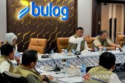 Bulog perkuat strategi pengadaan cadangan beras 4 juta ton