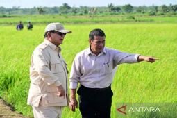 Indonesia's rice reserves hit record 3 million tons: President Prabowo