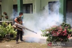 Dinkes Sumenep tangani 70 kasus demam berdarah dengue