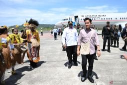 Wapres Gibran tunda kunjungan ke Yahukimo karena alasan keamanan