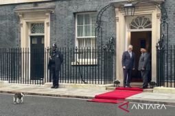 Di Downing Street, Larry the Cat ikut sambut kedatangan Prabowo