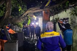 Puluhan rumah di Situbondo porak-poranda diterjang puting beliung