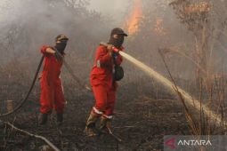 Kemenhut: Jumlah titik panas pada 2025 turun drastis dibandingkan 2019