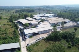 PT NPGF fokus strategi penguatan pemasaran pada 2026